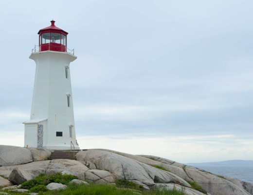 Fresh Nova Scotia lobster roll served near Peggy's Cove Lighthouse